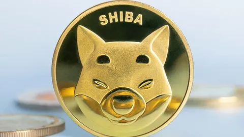 Prognoza ceny Shiba Inu: byki celują w wybicie po głębokiej akumulacji