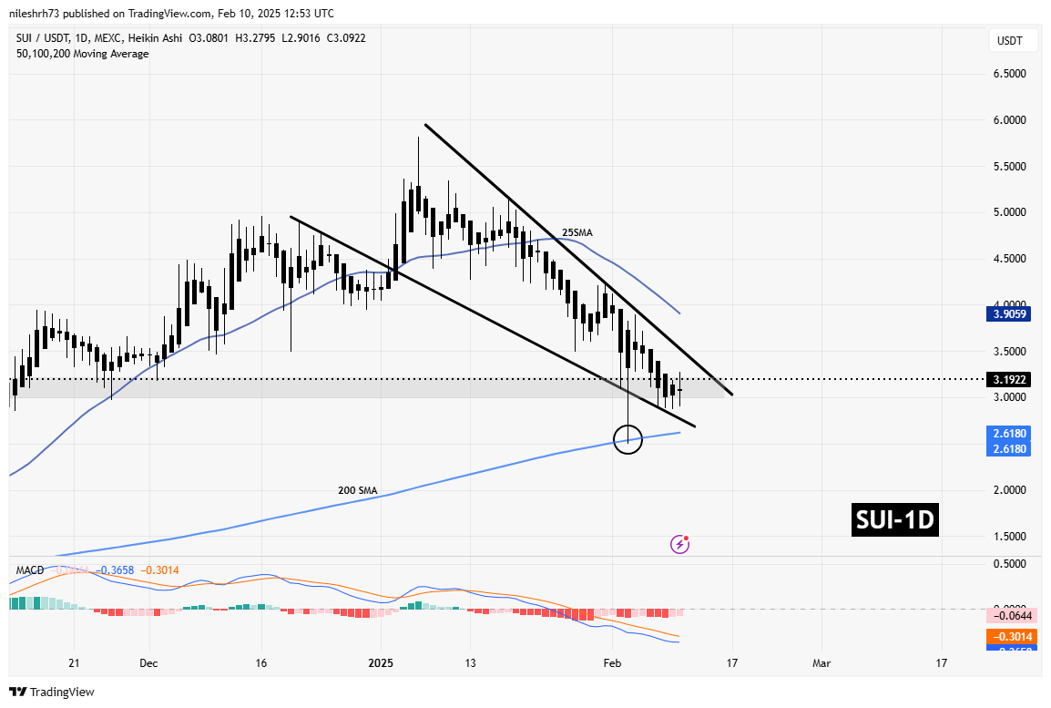 SUI Shows Growth in On-Chain Metrics: Could This Breakout Spark a Recovery? image 2