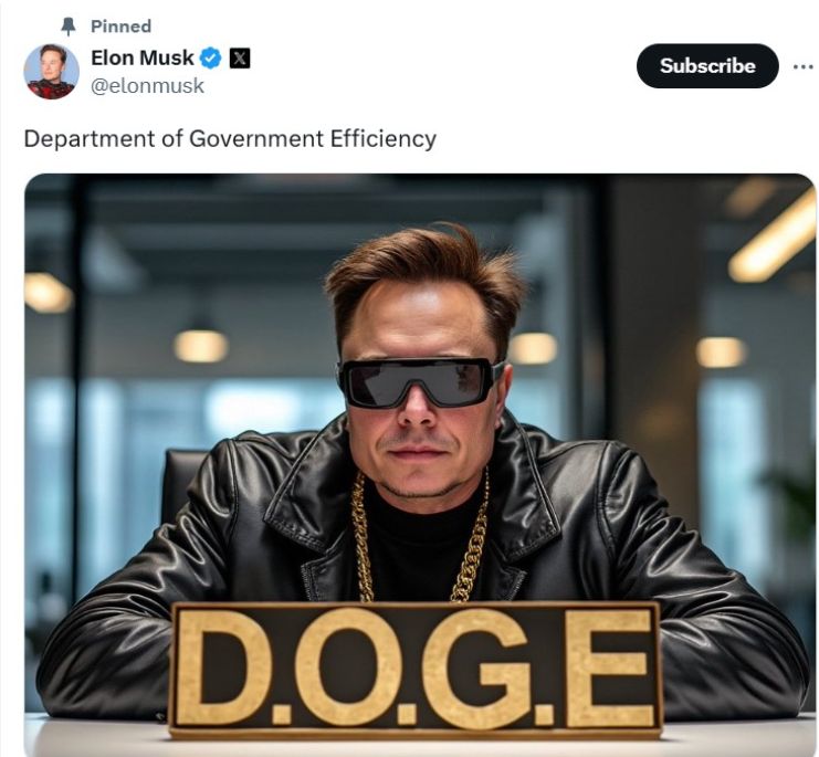 “DOGE”双关语引发政治猜想：马斯克或将领导政府效率部门 image 0