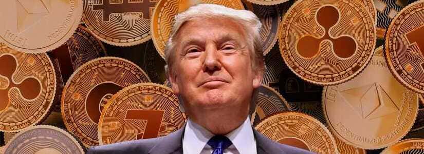 Los Traders de Opciones Anticipan que Bitcoin Alcanzará los $100,000 para Fin de Año Mientras BTC se Acerca a los $85,000 image 1