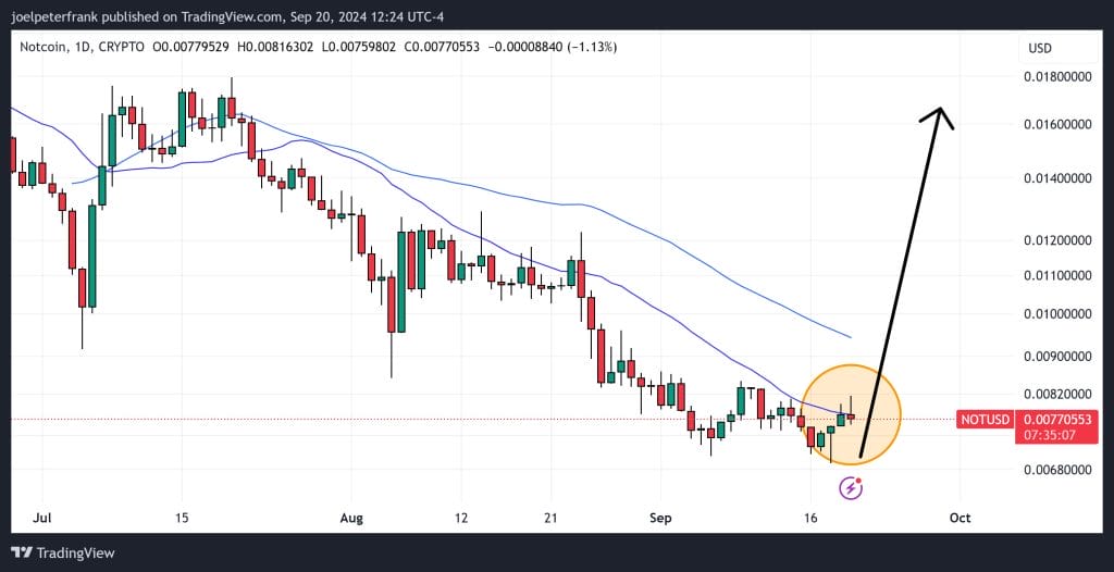 Notcoin Price Set to Explode? Positive Trading Signals Hint at Huge Gains for NOT Holders image 1