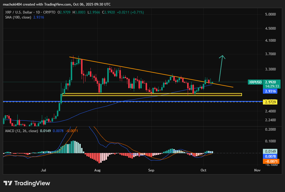 320 millions de XRP d’une valeur de 950 millions de dollars ont été transférés vers les bourses alors que l’offre augmente image 7