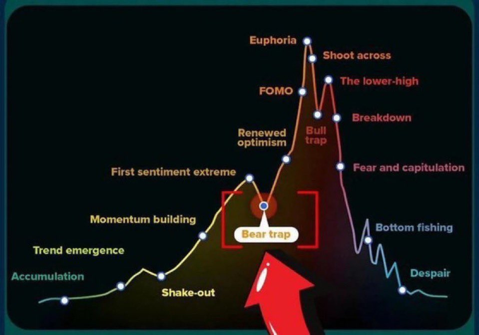 Sentiment ultra bearish sur le Bitcoin : Un signal d’achat pour les plus audacieux ? image 7