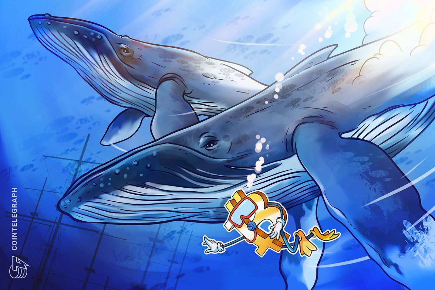 Bitcoin’s second-largest whale accumulation fails to push BTC past $106K