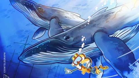 Bitcoin’s second-largest whale accumulation fails to push BTC past $106K