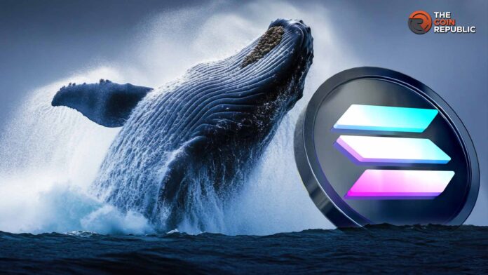 Solana Whale начинает закупку 32 000 SOL, спровоцирует ли это ценовой прорыв?
