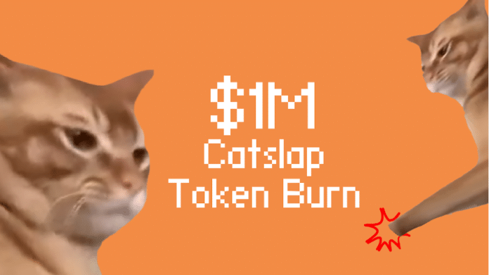 Mega-Burn: Catslap Coin verbrennt 1 Million SLAP Token – Kurs-Explosion in Sicht? image 1