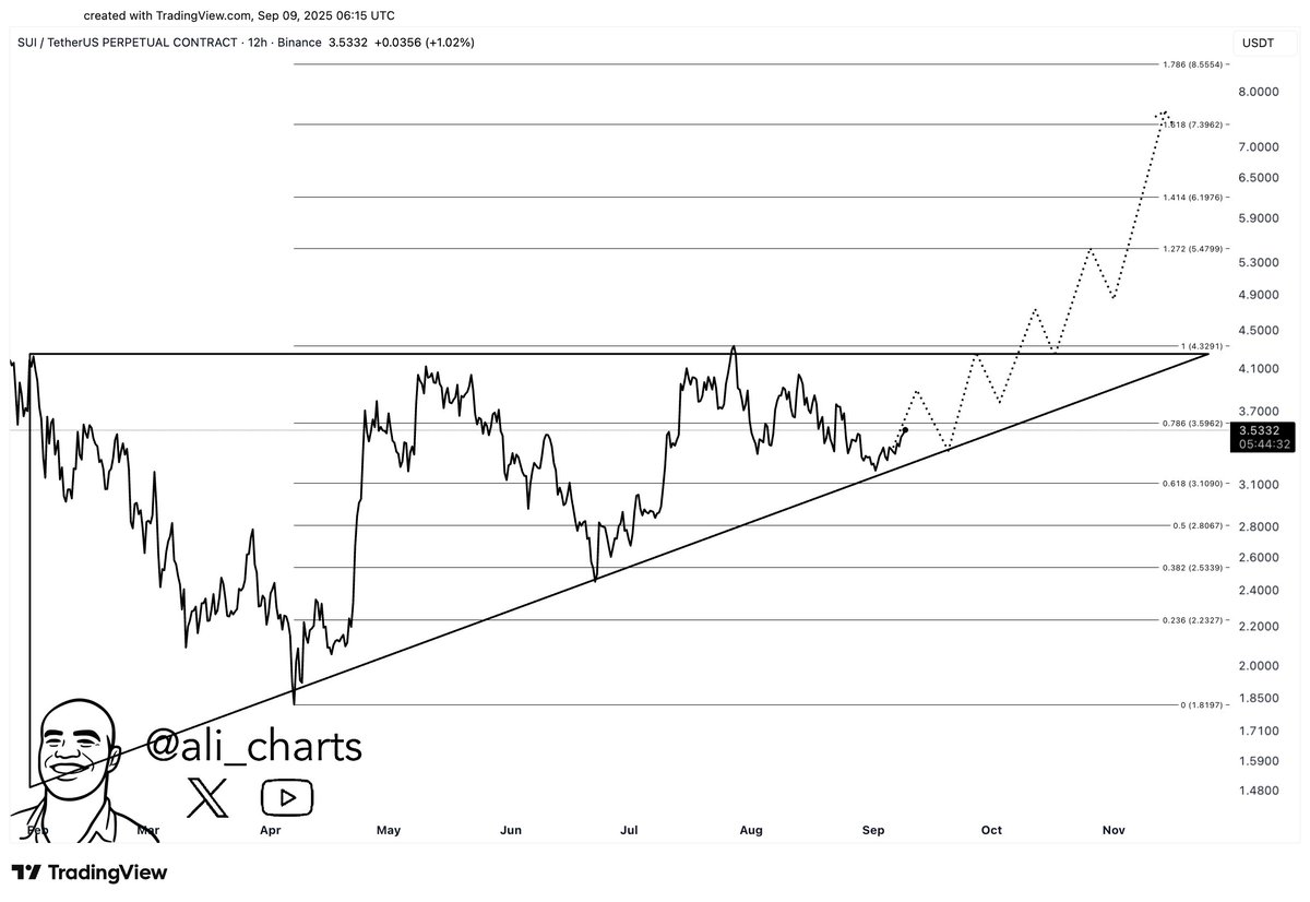 Bold Moves with Pump Coin: How Dynamics Shift the Landscape image 1