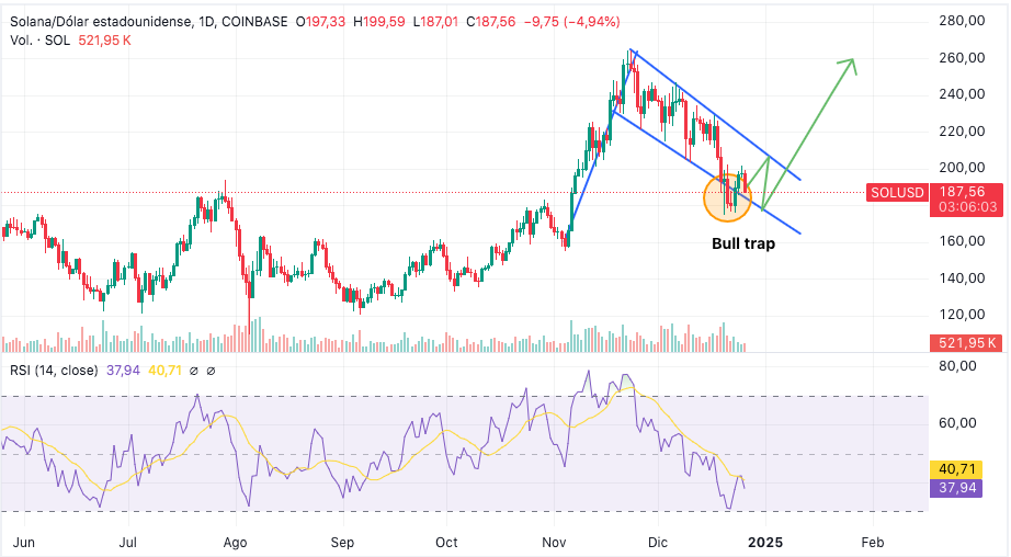 Solana’s Capital Inflows Soar – Could SOL Be the Next $500 Coin? image 1