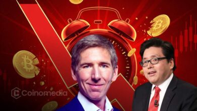 Matt Hougan & Tom Lee See Bitcoin Dip as Opportunity