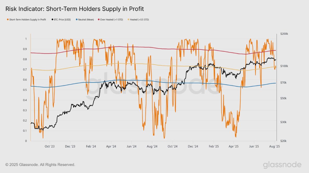 Bitcoin sous 116 000 $: Les acheteurs se renforcent, la résistance se durcit image 3
