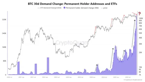 Bitcoin Price Retests Major Bull Market Support at $92k: $130k or $80k Next? Analysts Insights