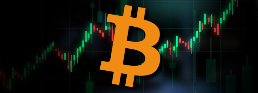 Semler Scientific Ahora Posee 4.846 Bitcoin Tras su Última Adquisición