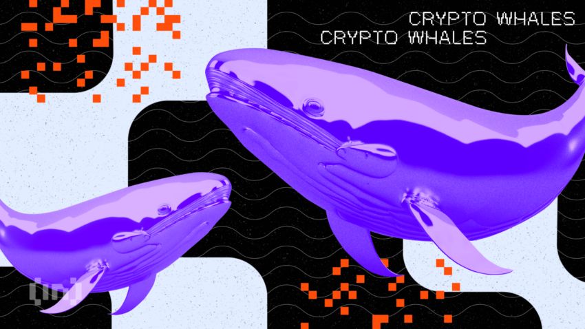 Quels meme coins vendent les baleines crypto en ce moment