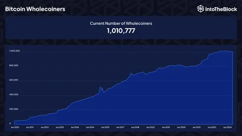  1 Million Wholecoiners and Counting: Institutional Demand May Push This Number to Its Peak