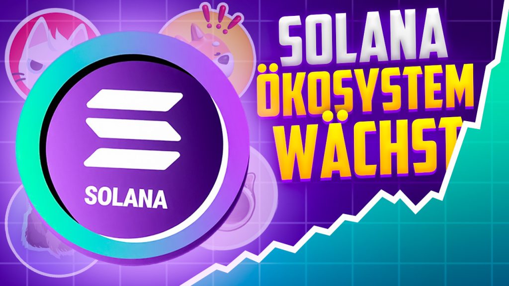 Solanas Zukunft entscheidet sich heute