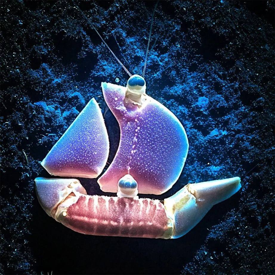 聚焦西班牙裔传统月 image 11