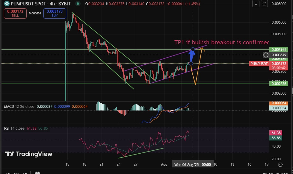 On-Chain-Daten enthüllen den wahren Treiber der 11%-Rallye von PUMP: Walkäufe image 3
