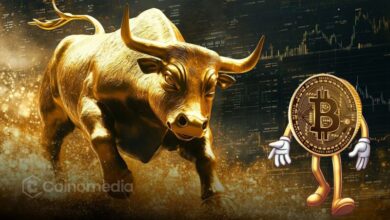 Bitcoin Peak Signal Absent: Bull Run Still Young