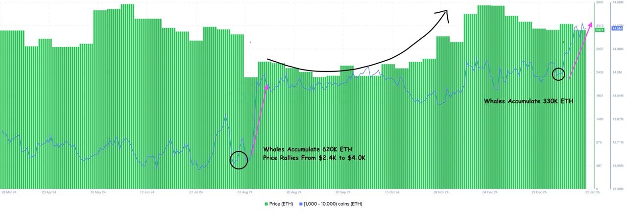 Wale kaufen Ethereum im Wert von 1 Milliarde US-Dollar, Kurs von 5.000 US-Dollar in Sicht? image 0