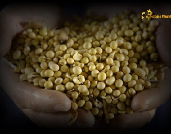 Urgent Alert: China’s Shocking Ban on US Soybean & Lumber Imports – Trade War Escalation?