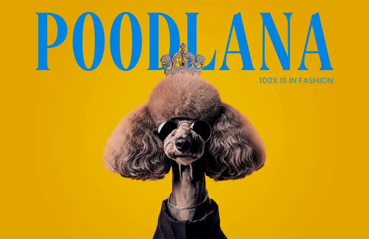 Poodlana is coming to the market in 5 days: are you ready?