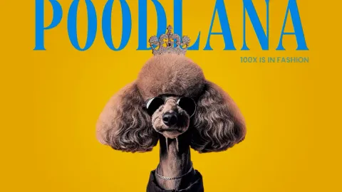 Poodlana is coming to the market in 5 days: are you ready?
