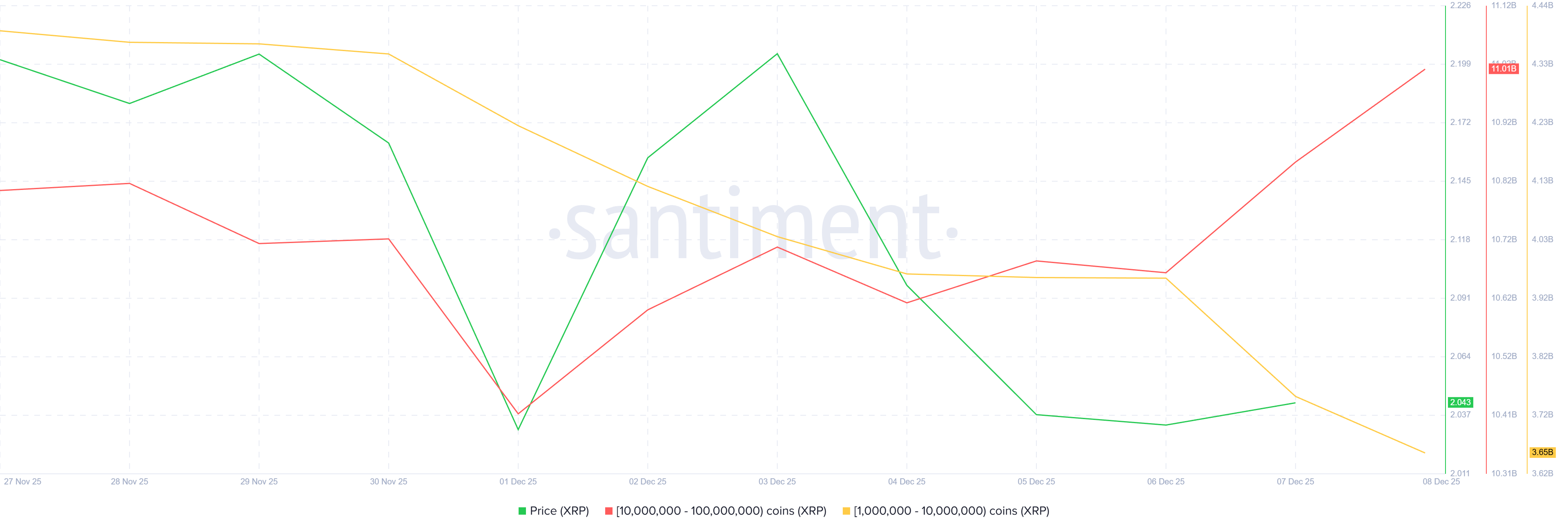 350 Million XRP Changes Hands as Bigger Whales Take Over Amid Price Downtrend image 0