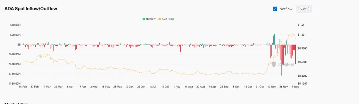 This is how Cardano (ADA) performed in 2024 so far image 1