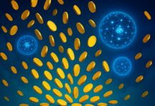 AirDrop-Regen für die Krypto-Community: Cardano und Midnight verbinden Ökosysteme