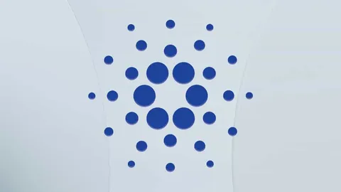 Фонд Cardano запускает «квантово-устойчивую, глобально совместимую» платформу цифровой идентификации Veridian