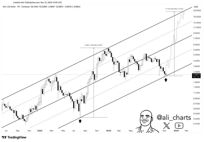 Sui Presyo, Nagkaroon ng Matapang na Target na 20 Habang Tinitingnan ng mga Analyst ang Suporta at Paglago ng Stablecoin