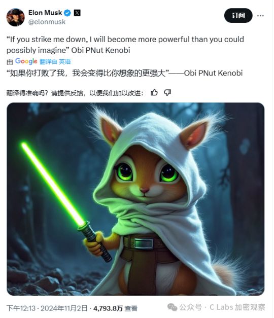 决定美帝命运的，竟然是一只松鼠！ image 6