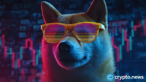 Korporacyjna odnoga Dogecoin celuje w notowanie na Nasdaq z funduszem wojennym w wysokości 50 milionów dolarów
