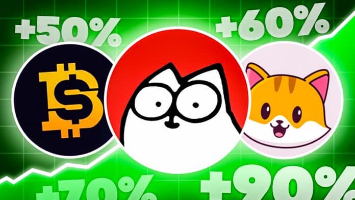 +71,23% in 24h! ShibaBitcoin, Simon’s Cat & CateCoin explodieren: Sollte man die Memecoins kaufen? image 1