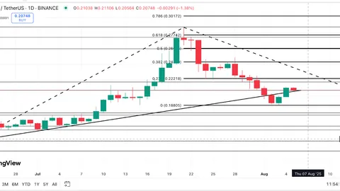 Dogecoin Price Risks 30% Fall: Can Bulls Break the August Pattern?