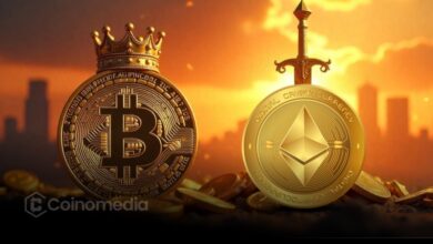 ETH and BTC Lead Asset Gains Since 2020
