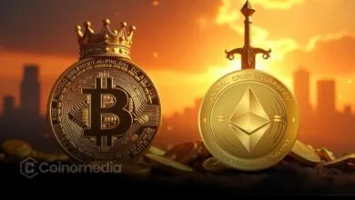 ETH and BTC Lead Asset Gains Since 2020
