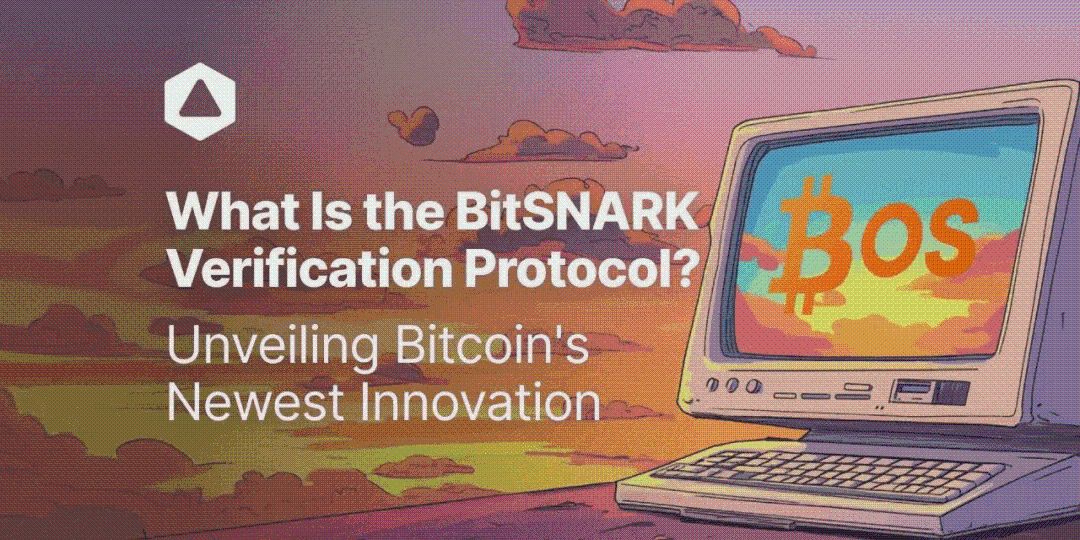 什么是 BitSNARK 验证协议?揭秘比特币的最新创新 image 0