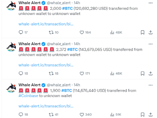 L’activité des baleines augmente après la baisse des taux de la Fed : le bitcoin, les stablecoins et les altcoins s’envolent image 1