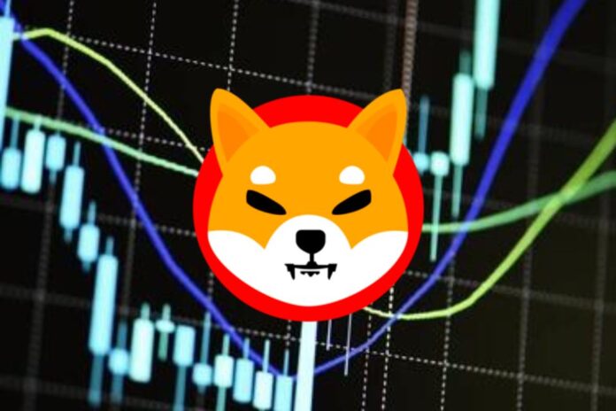 Shiba Inu Team Says SHIB At $0.01 Is Possible But…