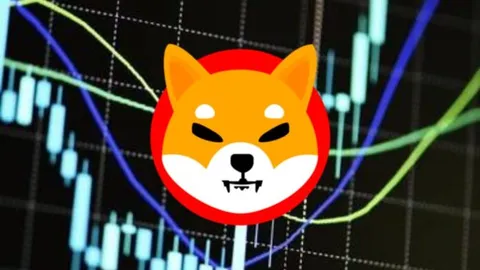 Shiba Inu Team Says SHIB At $0.01 Is Possible But…