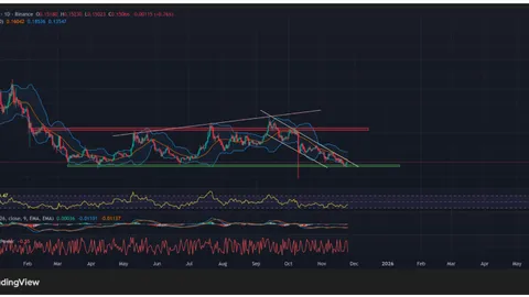 Bitwise insinúa un ETF de DOGE, mientras que el GDOG de Grayscale no registró entradas en su primer día