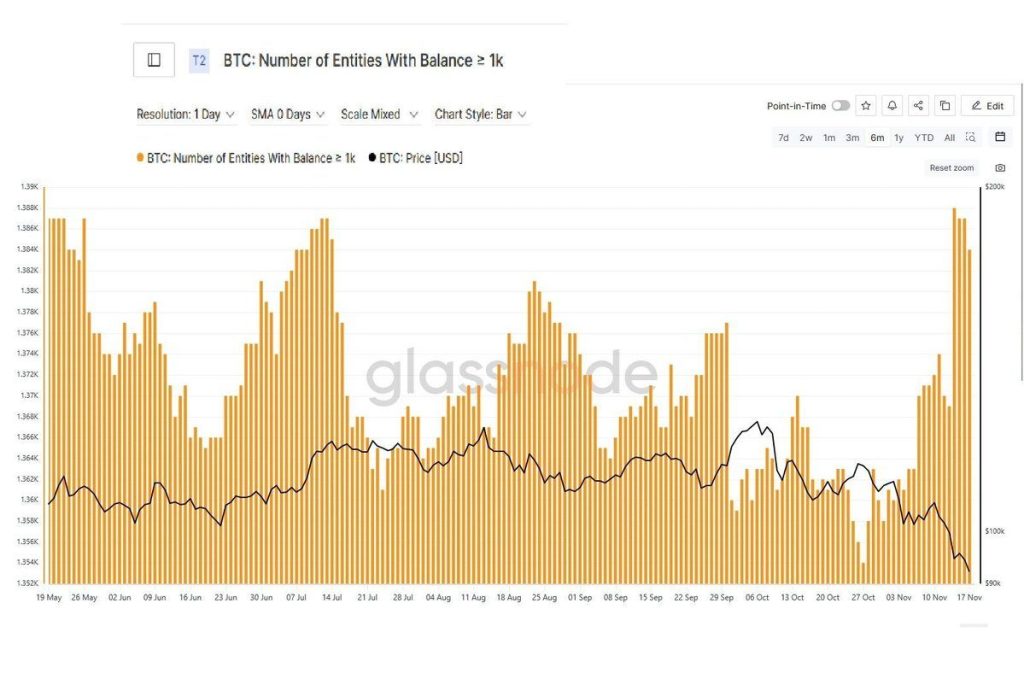 Les baleines déchaînées : leurs réserves Bitcoin explosent alors que le prix chute sous 90 000 dollars image 1