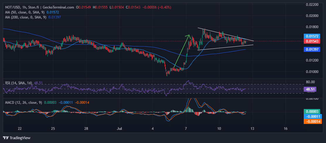 Notcoin Price Tops Weekly Gainers With 56% Pump As This New SHIB Derivative P2E Meme Coin Rockets Towards $1 Million image 1