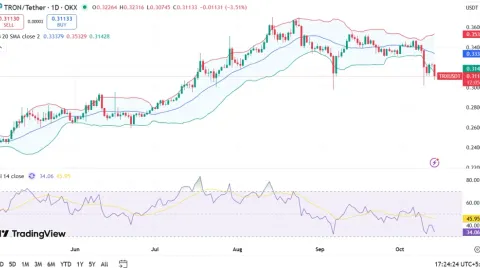 توقعات سعر Tron لعام 2025، 2026 - 2030: هل يمكن أن يصل Tron إلى 1 دولار؟