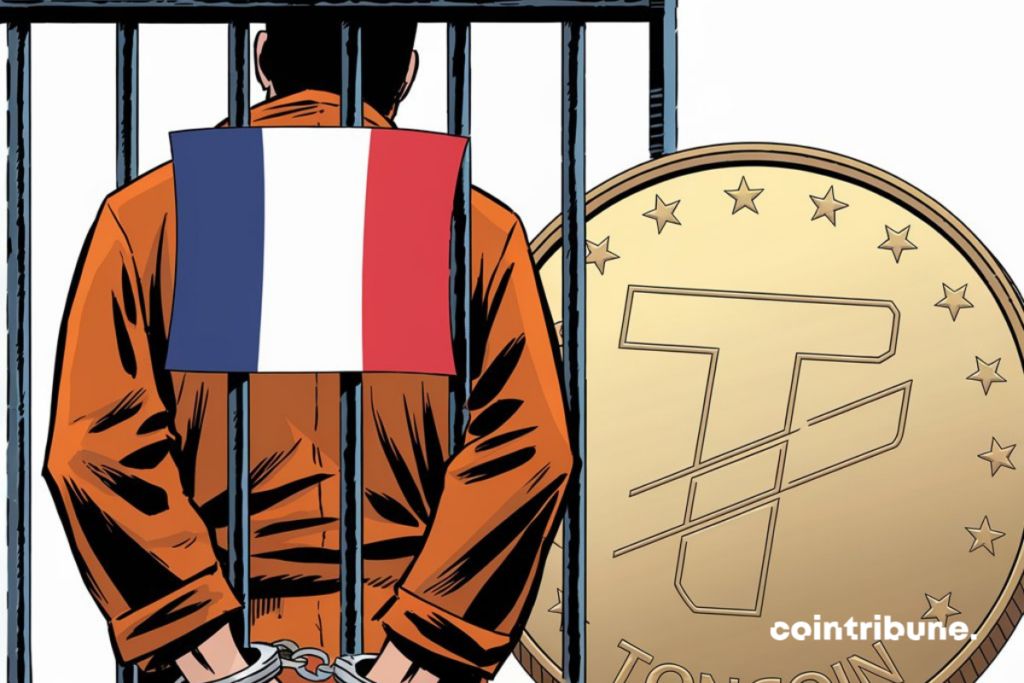 Crypto : Toncoin s'effondre de 20% après l’arrestation de Durov image 0