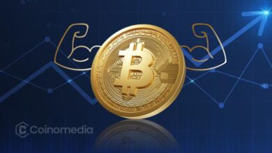 Why the Bitcoin Halving Cycle Is Far From Over