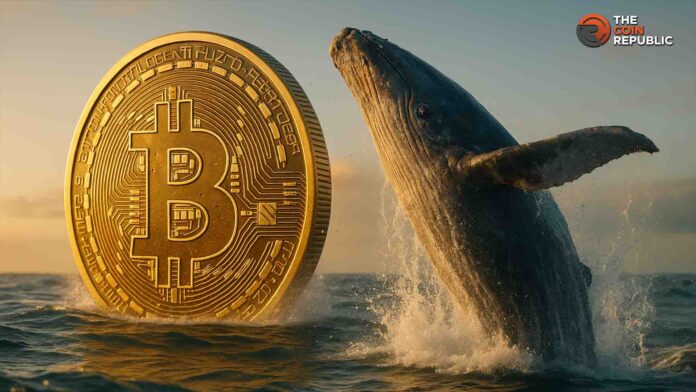 Noticias Bitcoin: Whale Abre una Posición Larga en Bitcoin de 20 M$ Tras la Caída a 108K$.