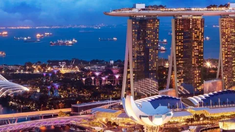 Singapur Kambodja "cho'chqa so'yish" firibgarlik ishiga aralashdi, "soliq jannati" yana shubha ostida